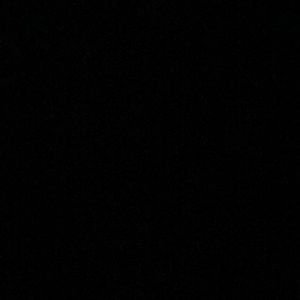 Meet your Posher, Sammy